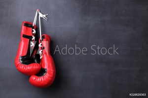 AdobeStock_228628363_Preview