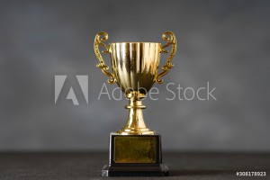 AdobeStock_308178923_Preview